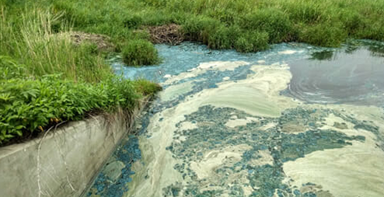 Eutrophication in a body of water is changing the color of this water body